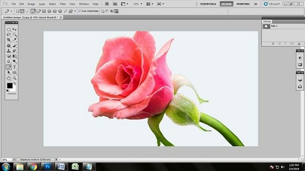 Flower photo editing techniques | Flower photo editing for ecommerce