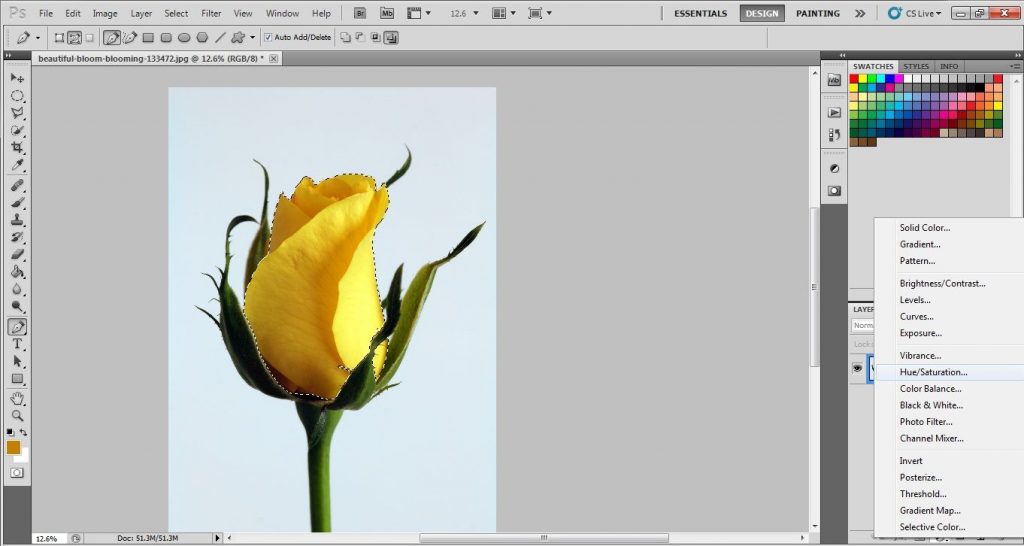 Flower photo editing techniques | Flower photo editing for ecommerce