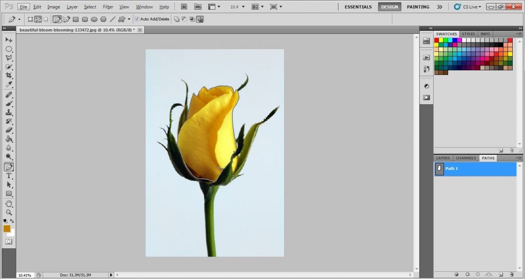 Flower photo editing techniques | Flower photo editing for ecommerce