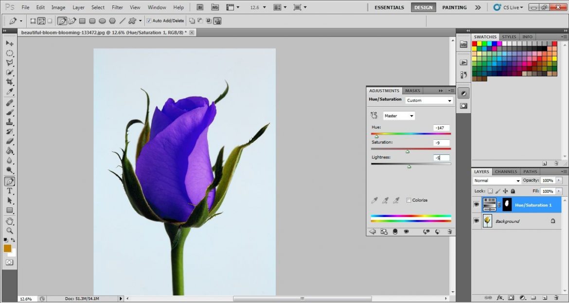 Flower photo editing techniques | Flower photo editing for ecommerce