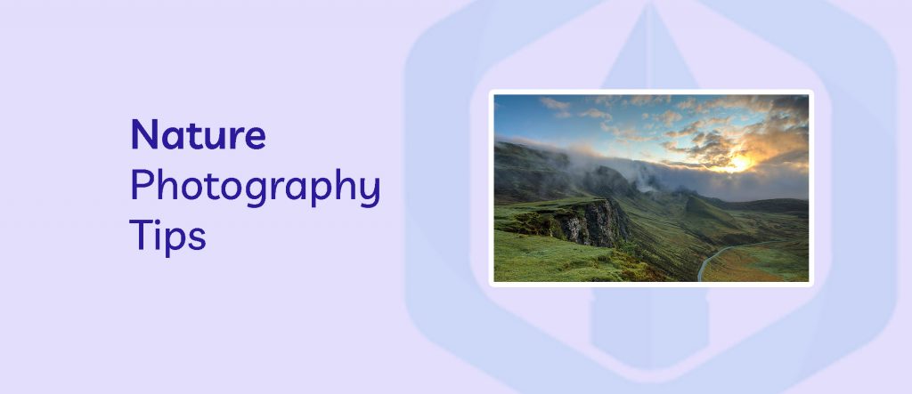 Nature Photography Tips