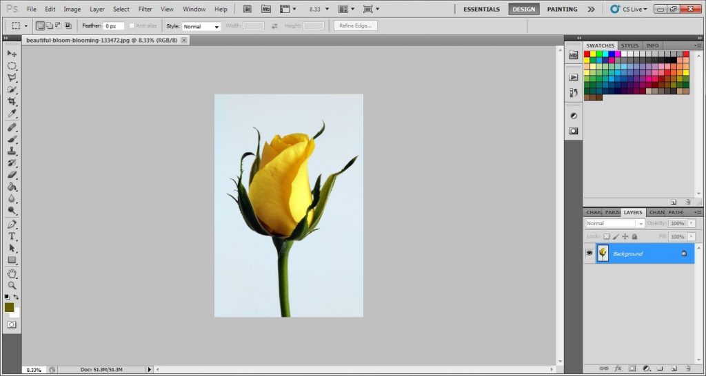 Flower photo editing techniques | Flower photo editing for ecommerce